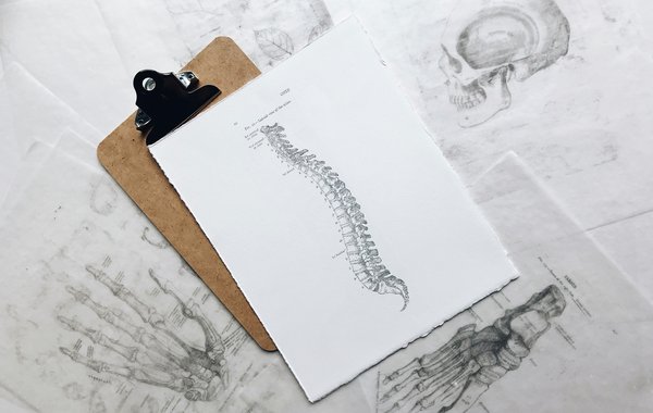 posture-reset